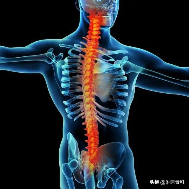 你真的会用跑步机吗,你真的会用健身器材吗