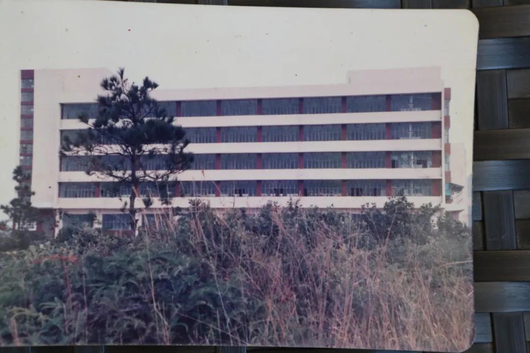 致敬40年拓荒牛,致敬改革开放40年奋斗者