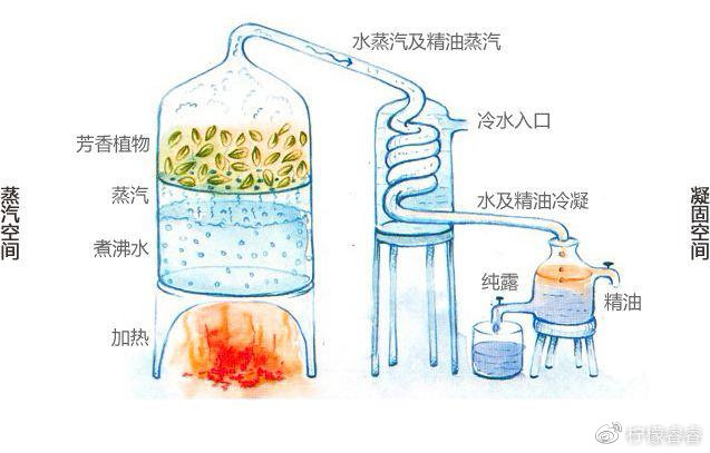 好用的纯露品牌推荐,现在哪个牌子的纯露好