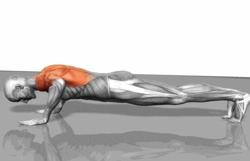 女生怎样锻炼出漂亮的胸型,女生怎样可以练成完美的胸部