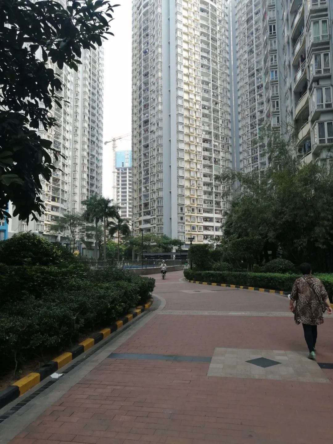 物业服务质量与服务标准的区别,物业对电梯维保评价