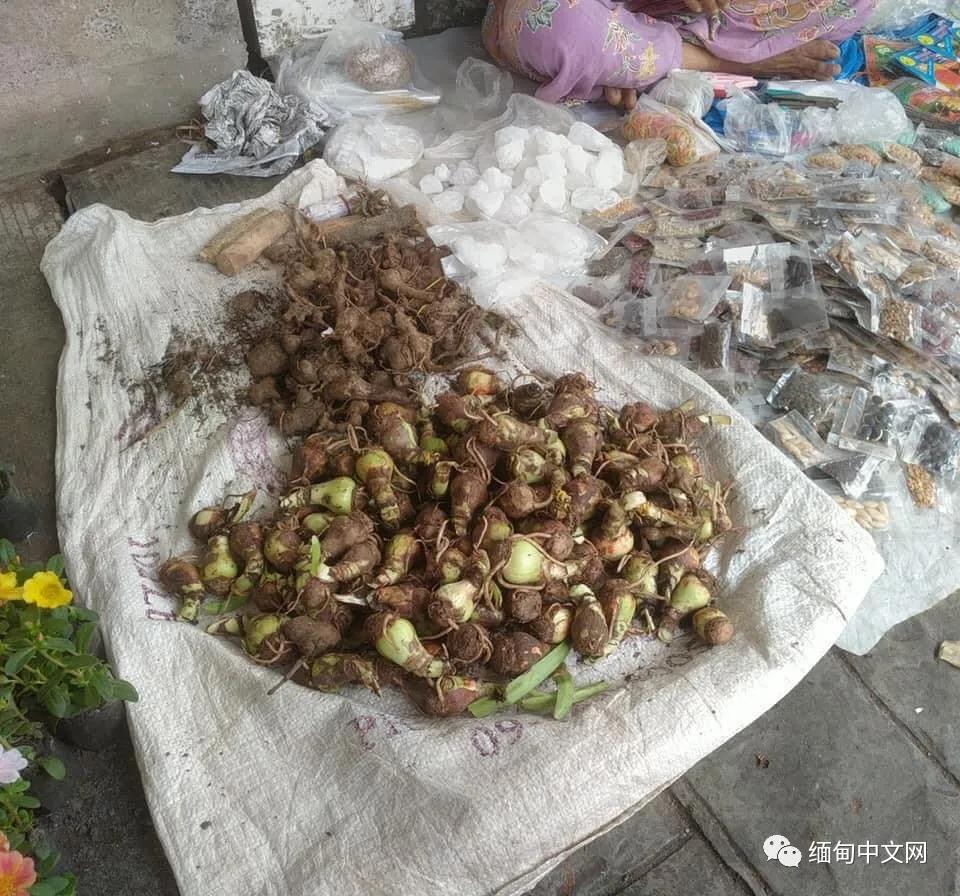 疫情当下风雨飘摇,缅甸最新疫情局势图表