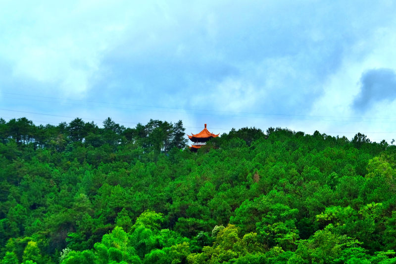 云浮南山森林公园锦鸡,云浮南山森林公园航拍