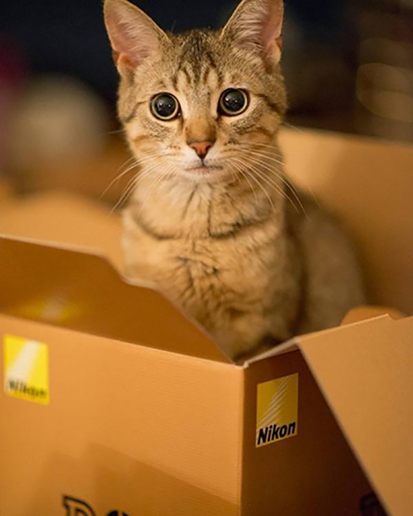 手机拍得很清楚上传抖音好模糊,抖音拍摄模糊怎么办