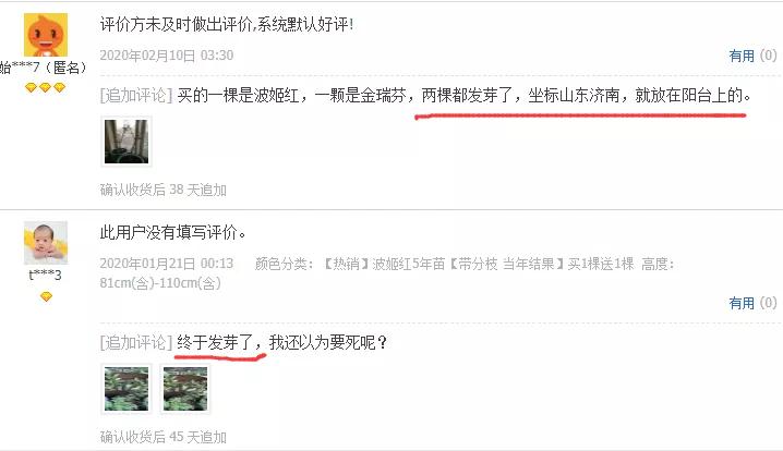 淘宝网店的宿迁神苗,宿迁神苗什么意思