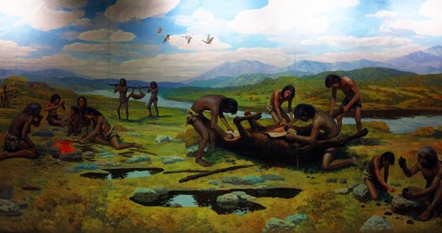 人类全身褪去毛发后，为什么只留下头发、阴毛和腋毛？