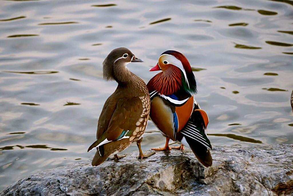 女性胸部发育的原因,女生胸部发育到什么年龄停止生长
