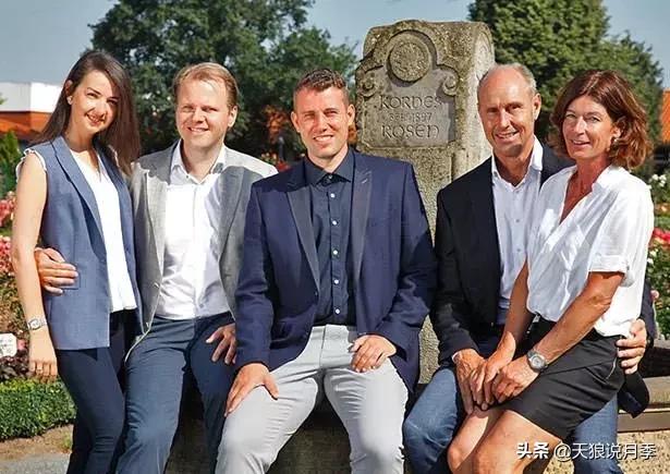 抗病性好的月季推荐,哪些月季品种抗病强