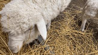 越来越飘,日入10亿的商场我也敢....