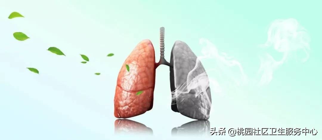 肺结核诊疗指南,肺结核诊治指南2018版