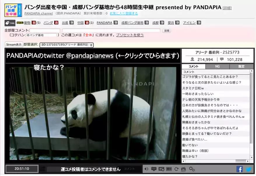 摸一下肚子就怀孕,都市传说怀孕