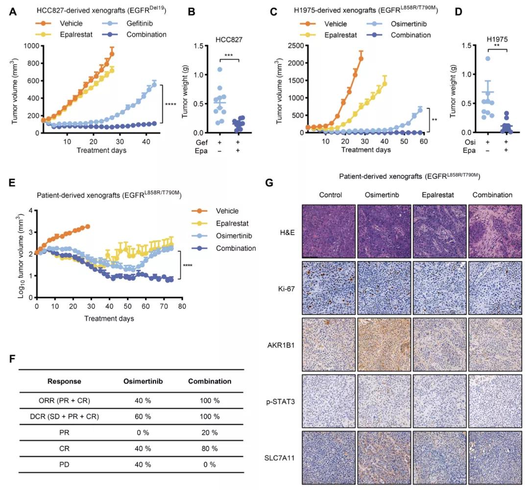 egfr靶向药的副作用,egfrl858r突变吃靶向药多久耐药