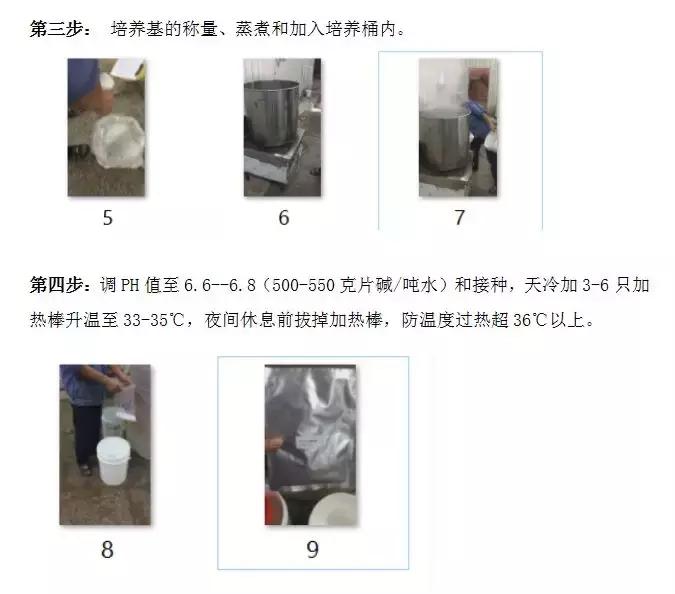 怎么培育乳酸菌菌种,复合乳酸菌种的发酵方法