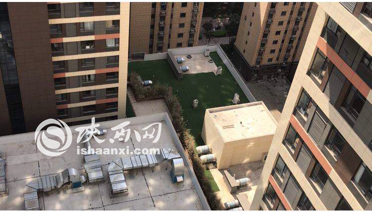 小区绿化作假,绿化造假事件