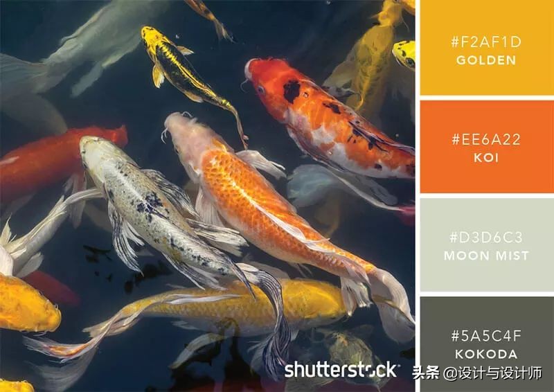 设计色彩总结200字左右,设计配色6种颜色