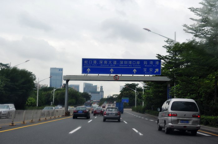 七彩神仙爱好者,野生七彩神仙开口