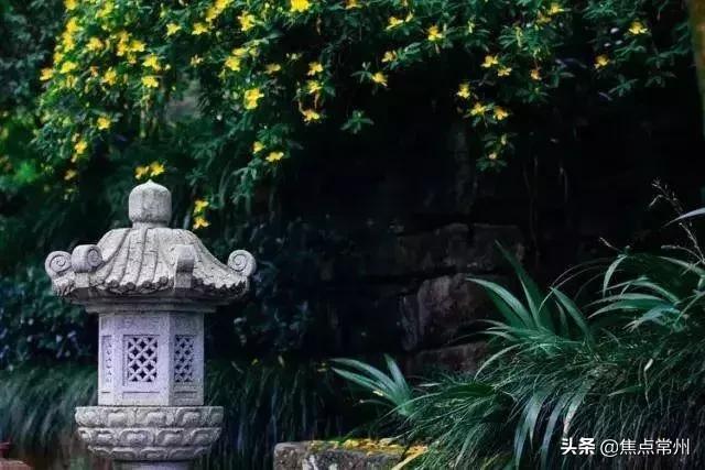 不争自有天地深度好文,不争不抢自有一方天地