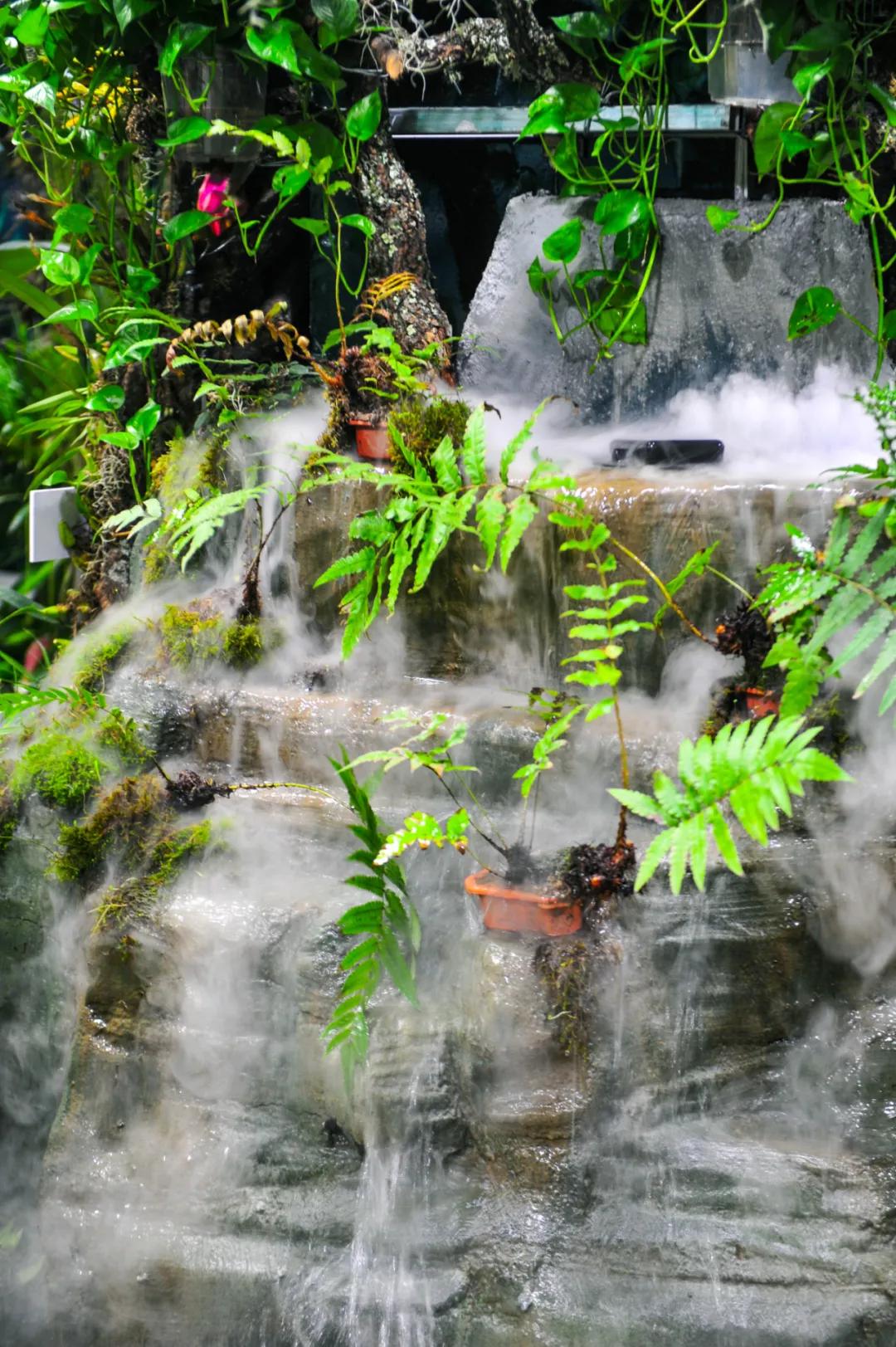 这个季节适合去济南哪旅游,济南十一假期游玩攻略