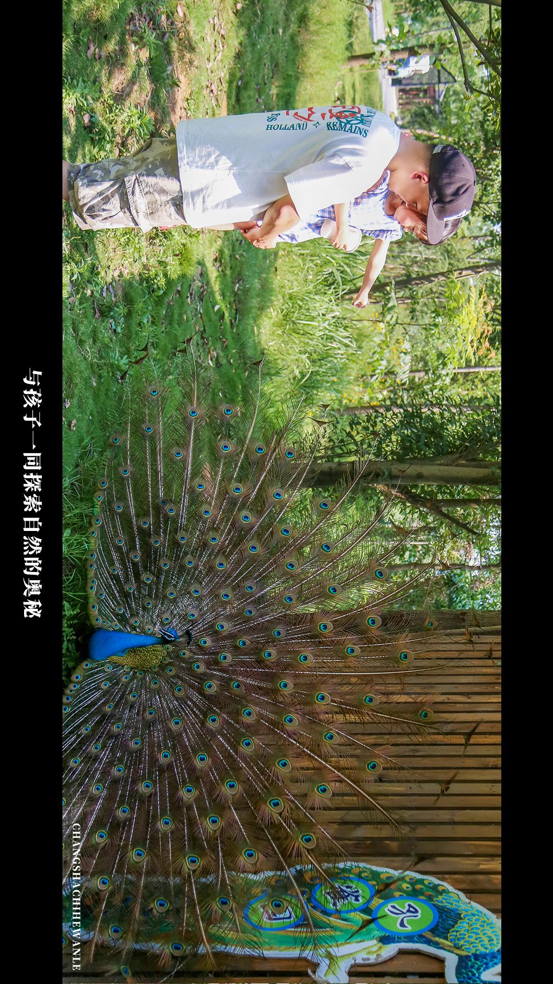 田园低空飞行,田园采摘之旅