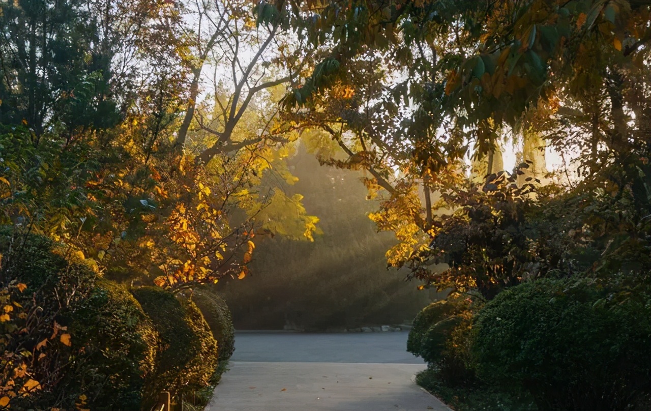 济南免费遛娃的地方,济南市十一带娃游玩好去处