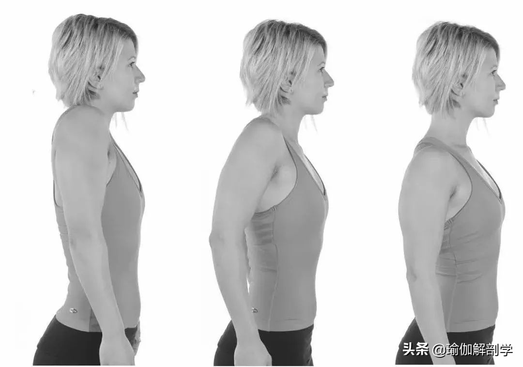 肩颈疼痛不能用力,肩颈疼不能转头怎么办