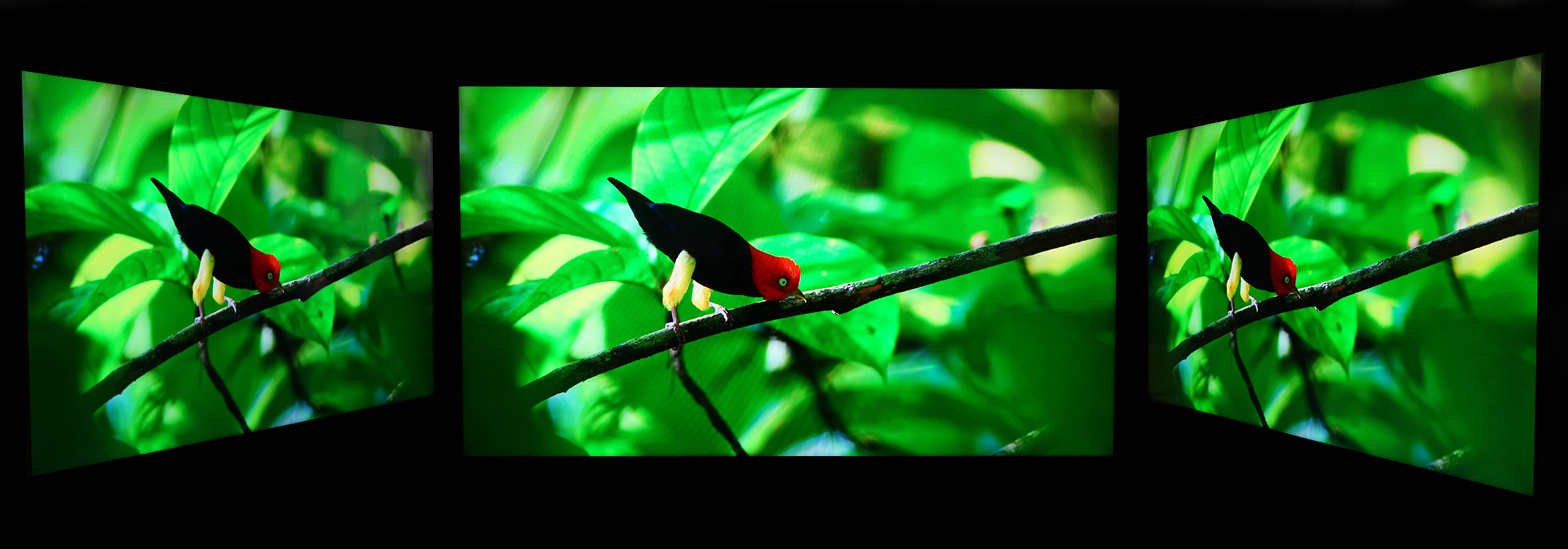 海信电视u7gpro接口讲解,让电视变成游戏机