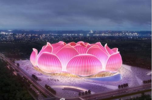 十万莲花球场可解“足球瘟疫”之毒？