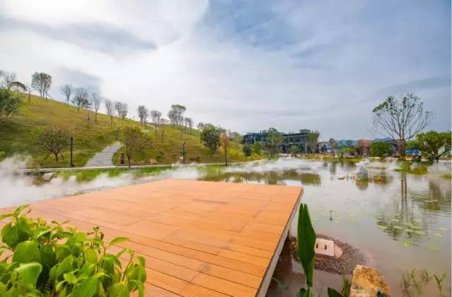 最新的深圳北站中心公园视频,深圳北站中心公园开放时间