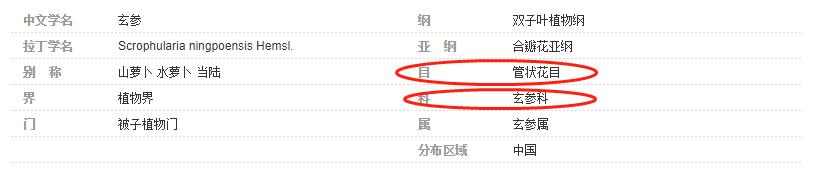 美国每年有多少人死于谋杀,美国每年死于事故的人