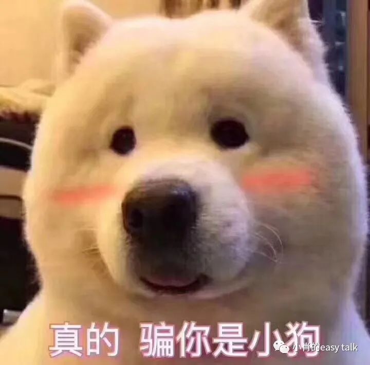 盘点奢品圈里的小欢乐（二）-衣食父母篇