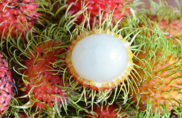 增强碱性体质的蔬菜水果有哪些,夏天再没钱也必吃的五种碱性水果