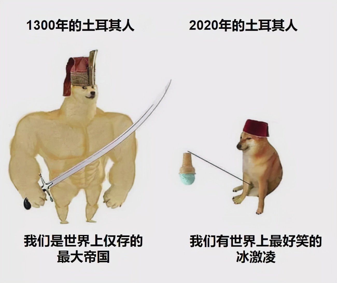 血统纯正？老土耳其人儿就好这一口儿