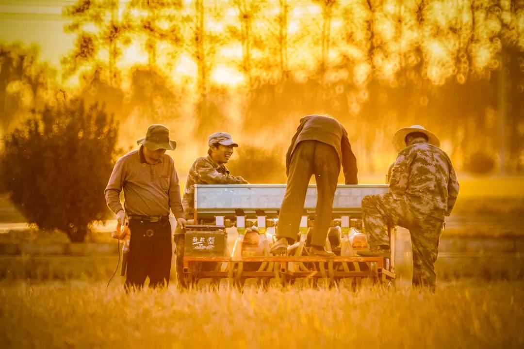 走向我们的小康生活9张海报,幸福新时代主题摄影作品