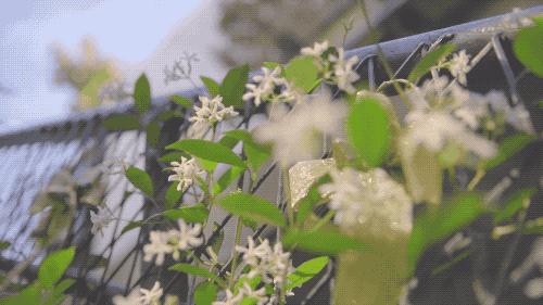 效果好香味持久的沐浴露,一款让你持久留香的沐浴露