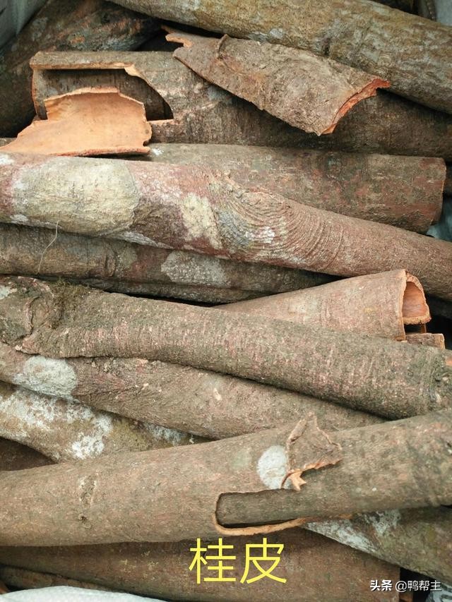 卤水配方要加鸡精吗,卤水配方的调整