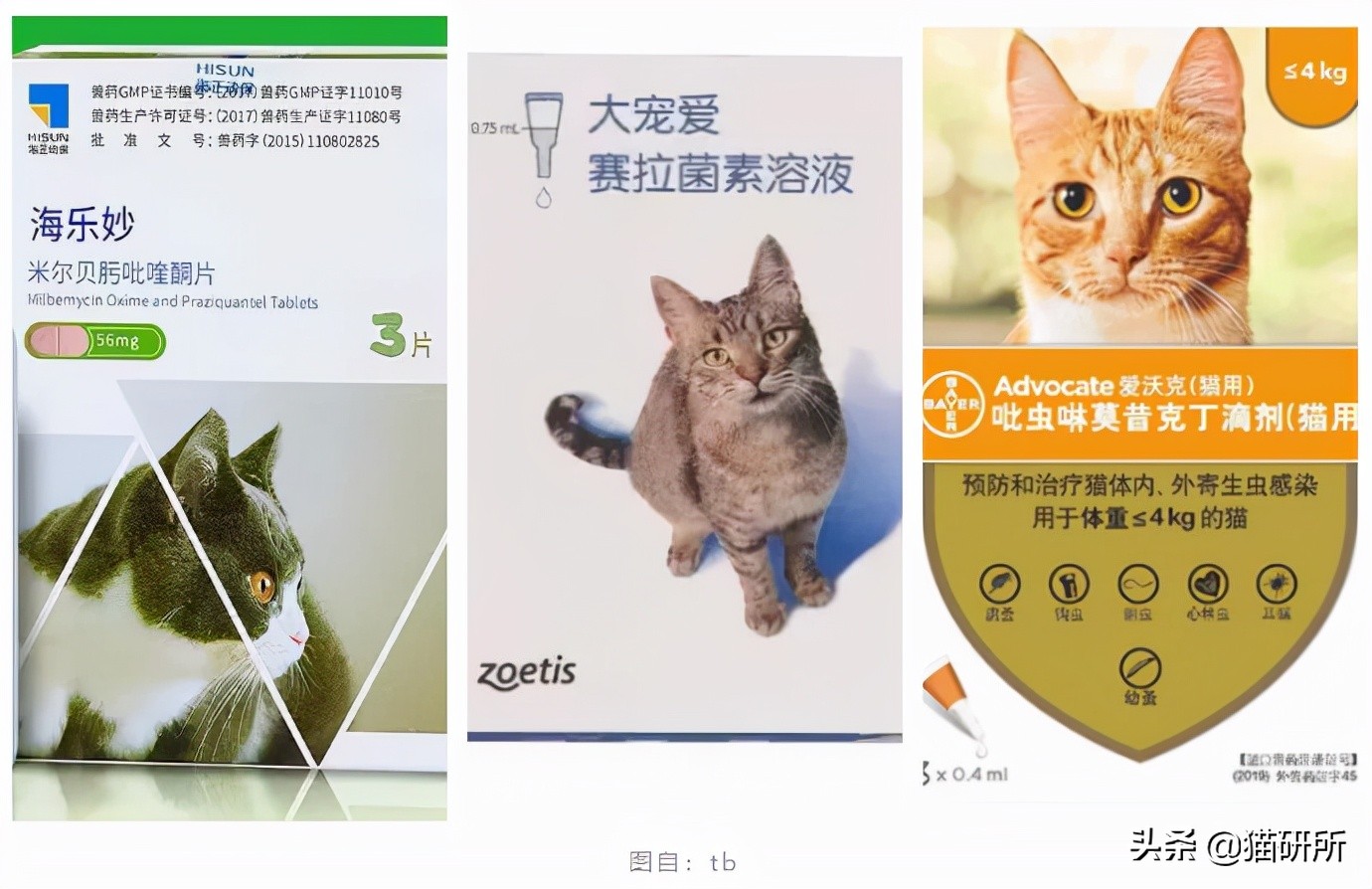 猫咪耳螨怎么治疗才能彻底好,耳螨猫咪用什么药猫咪老是乱动