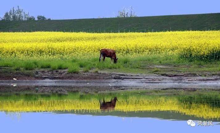 一曲《襄河水》一条流淌在心底的河没有大海的澎湃却从不曾忘记