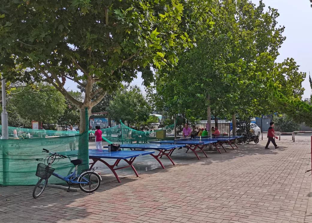 塘沽哪有免费开放的篮球场,塘沽篮球场地址在哪里