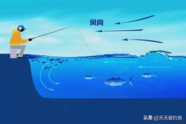 刮风天钓鲤鱼怎么钓,刮风天气野钓怎么样