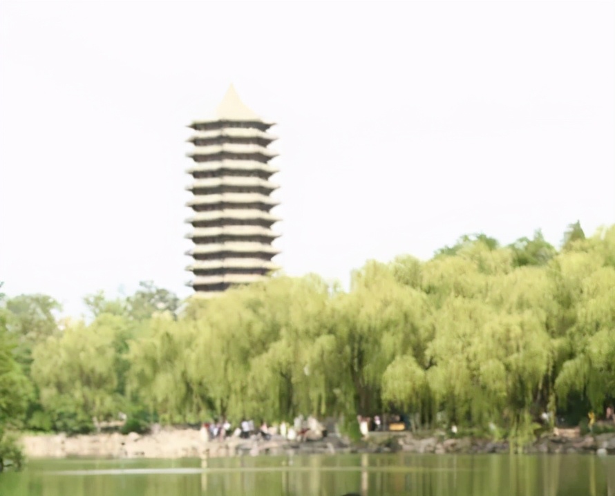 大先生先进事迹,大先生的发家史告诉我们什么道理