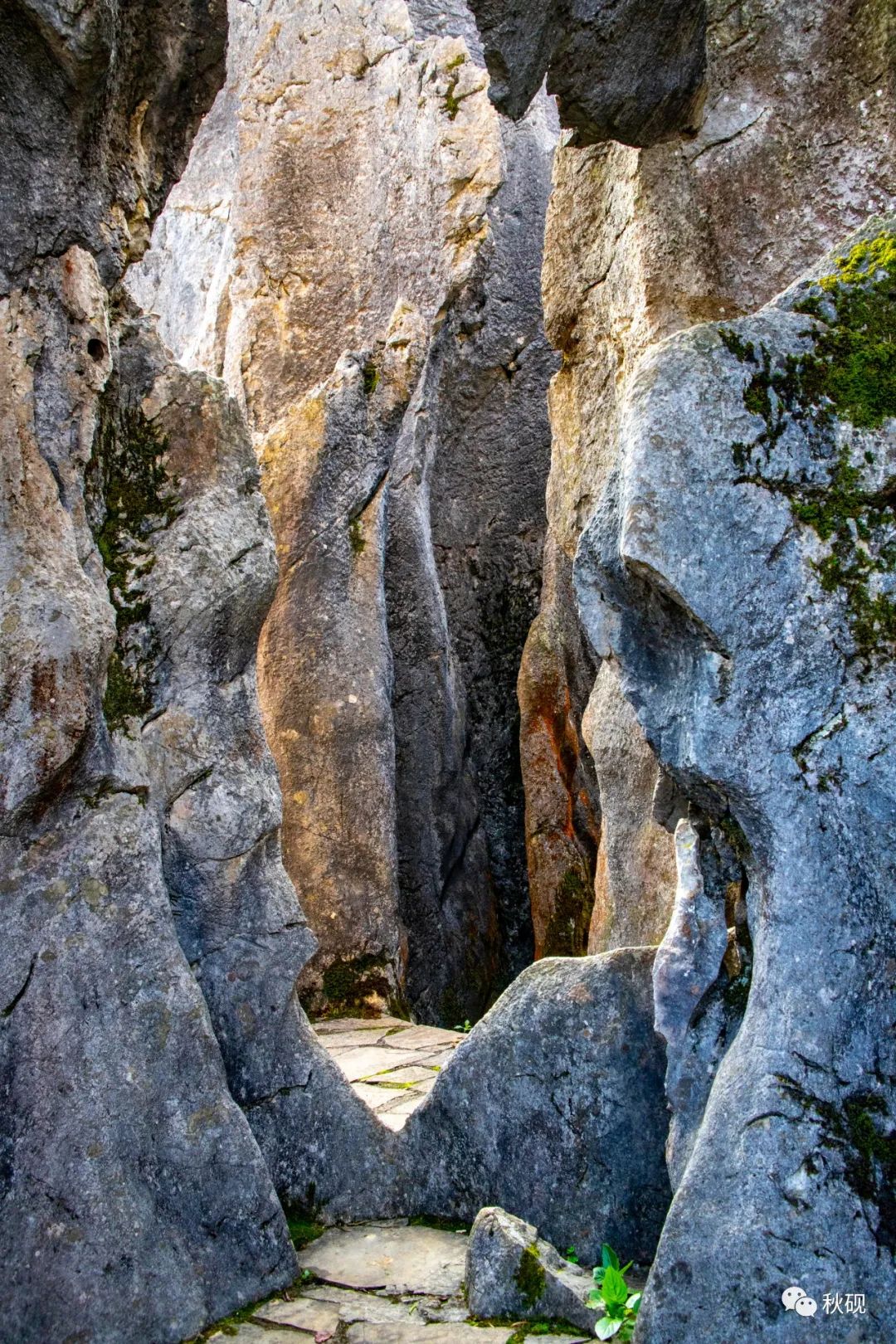 周游西南随记(六)弥蒙的万峰林