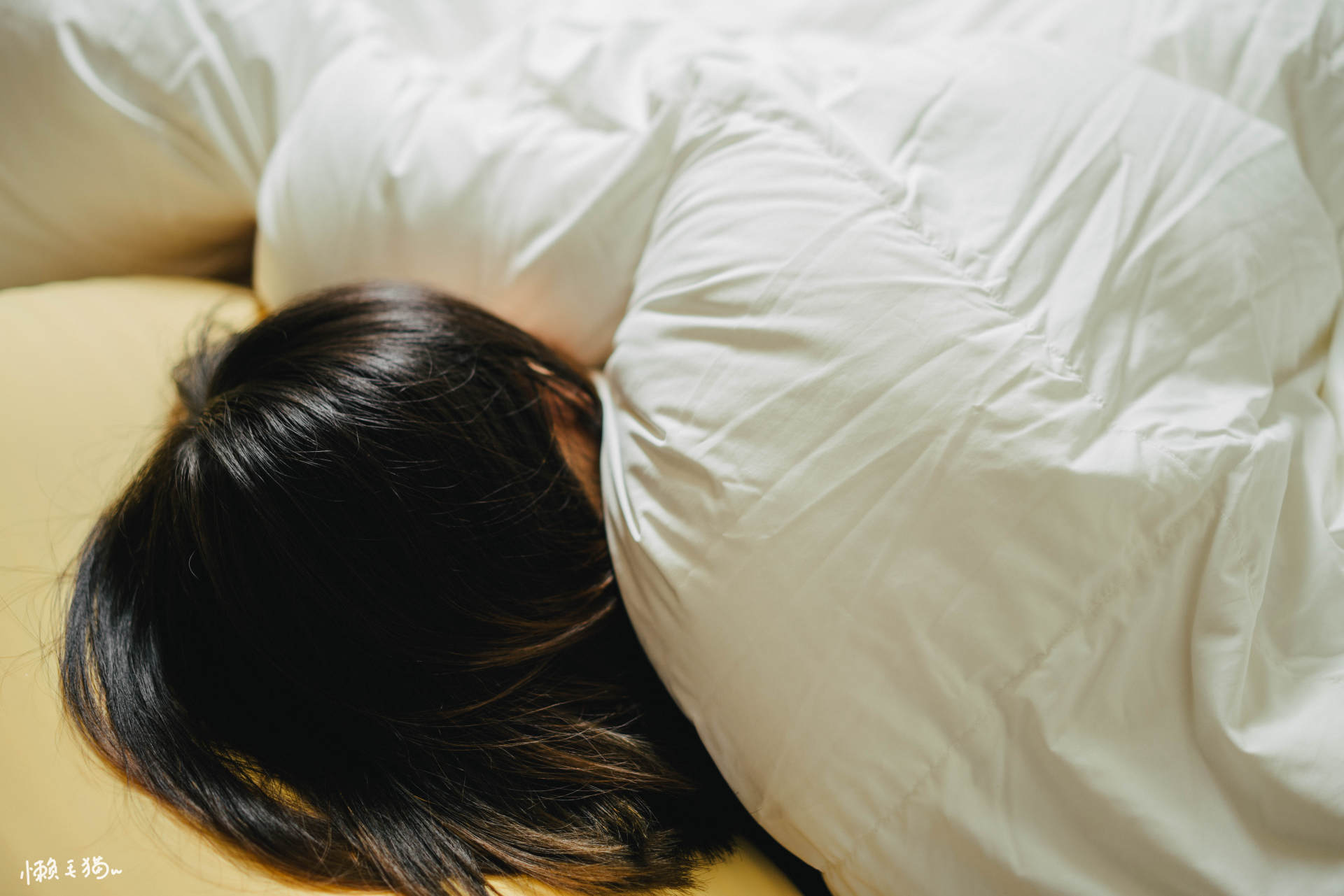 鹅绒被95%白鹅绒价格,网易严选95%白鹅绒冬被