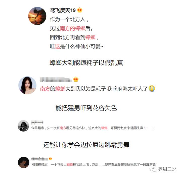 圣迪妮尔芙蓉霜正确的使用方法,圣迪妮尔芙蓉霜和特润霜有啥区别