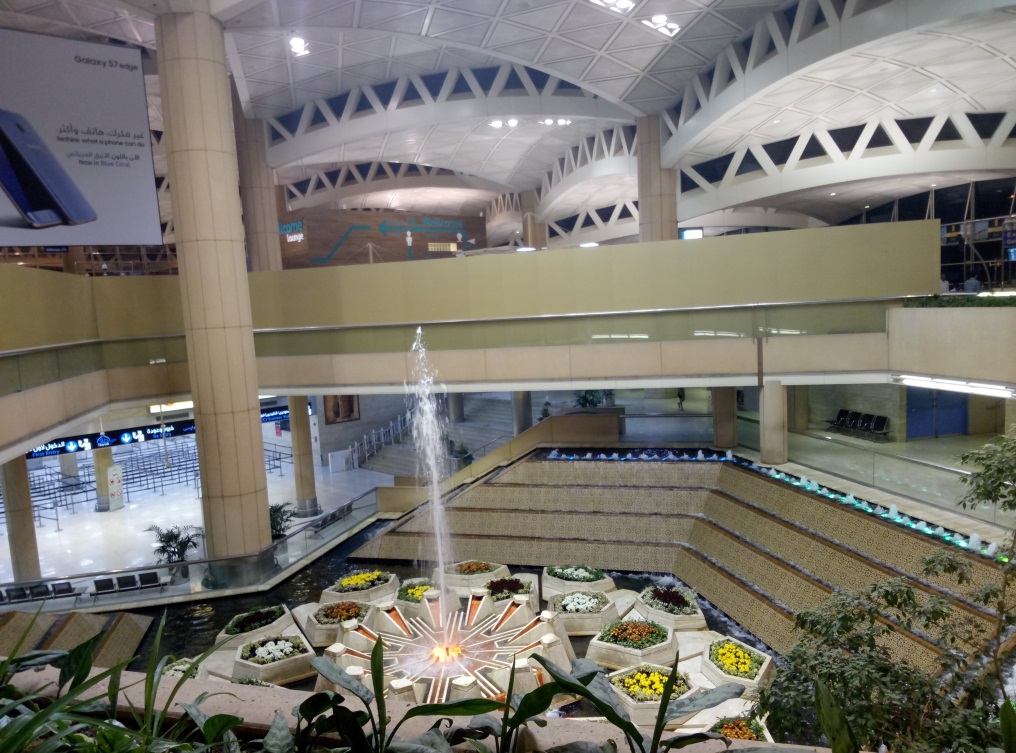 去沙特阿拉伯做什么工作,去沙特阿拉伯有什么条件