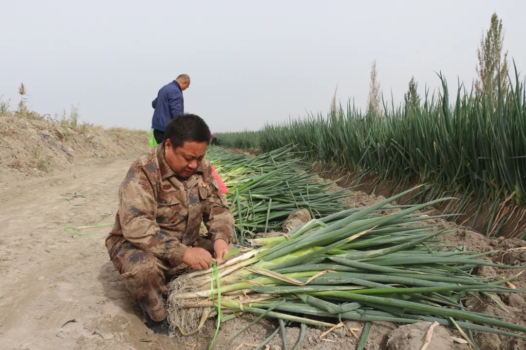 二师美景,处处好丰景