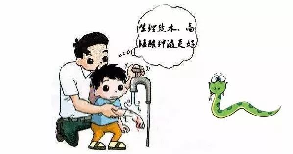 野外遇见巨型眼镜王蛇,近两米长眼镜王蛇