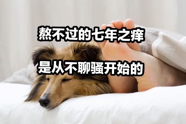 也许熬不过七年之痒了,七年之痒就是感觉日子过得很无聊