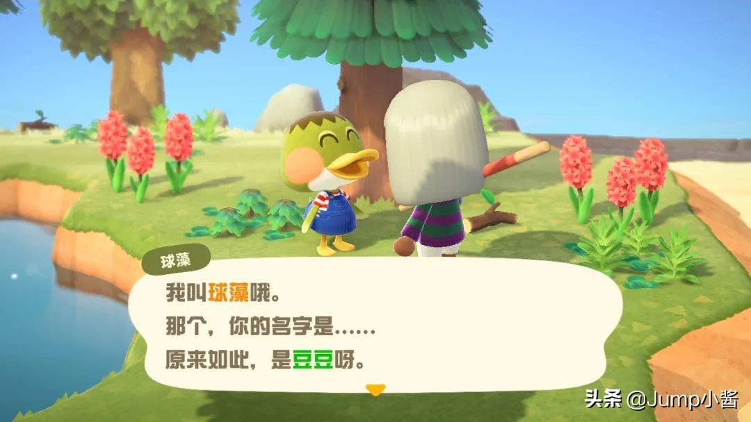 动森上岛前攻略,动森前期去无人岛带什么回来