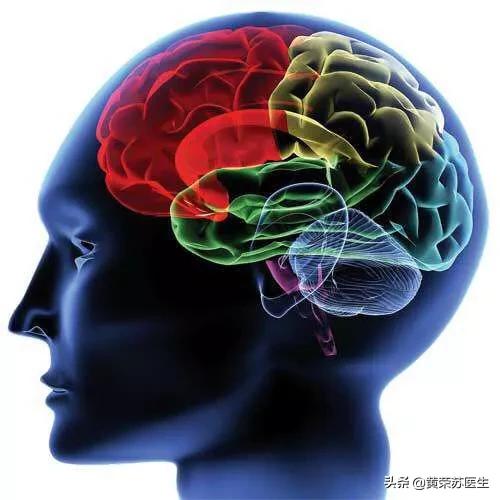 走进神秘的大脑世界：不同脑区损伤的临床表现（值得收藏）