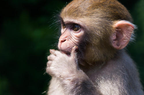 十个最苦白手起家富豪,白手起家的千万富翁是如何做到的